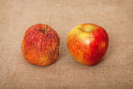 两块果子对面的画布 - 坏苹果和好苹果图片