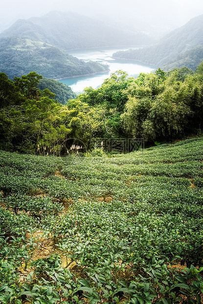 山上农庄场景草地场地叶子气氛国家天空土地牧歌生长图片