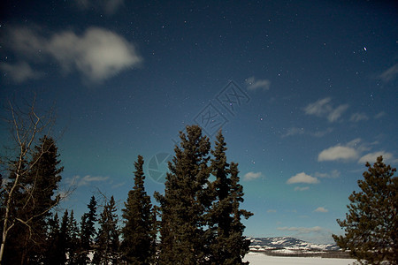浅色月亮和微弱的北极光北光高于froz极光月光北极光夜空气氛电离极地气候松树漩涡图片