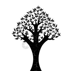 树季节植物群树叶植物生长插图黑色叶子树干白色背景图片