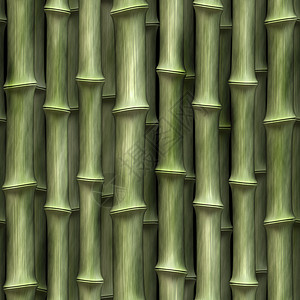 竹竹背景木头花园热带竹子森林背景图片