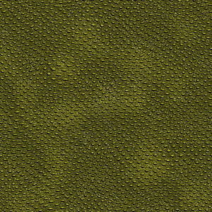 鳄鱼皮肤绿色爬虫插图背景图片