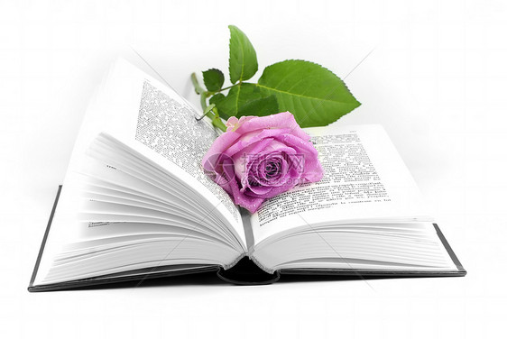浪漫爱情粉色阅读小说图片