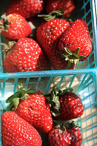 草莓盘子红色糖果食物甜点树叶水果图片