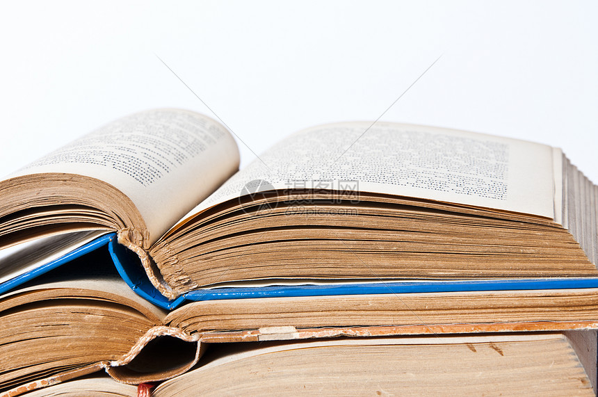 团体肥壮档案的基本内容不包括