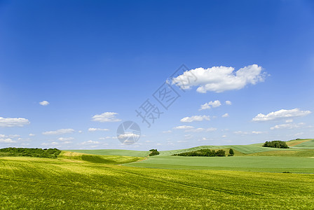 风景草地国家绿色场地农村蓝色图片