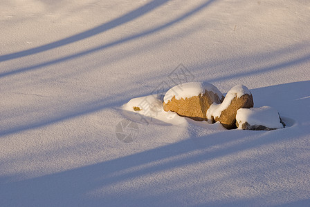 满是雪的石头图片