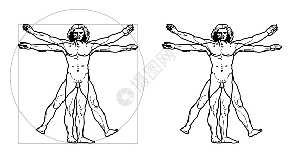 莱昂纳多的维特鲁维亚人矢量绘画比例正方形男人身体圆圈艺术品代码几何学图片