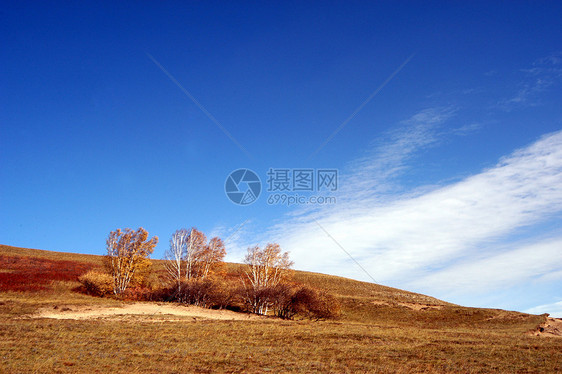 Praire 秋季景观图片