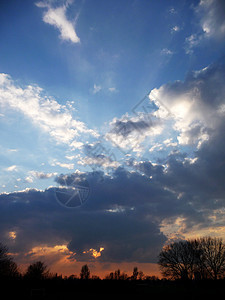 日落天空树木气氛地平线日出蓝色分支机构多云剪影背景图片