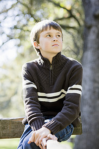 公园里的年轻男孩小伙子孩子青少年少年青年童年男性男生树木闲暇图片