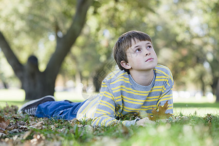 公园里的年轻男孩叶子沉思少年闲暇水平青年童年男生小伙子青少年图片
