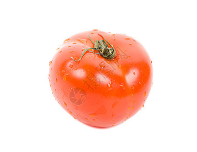 孤立的红成熟红西红番茄图片