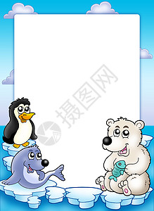 北极熊企鹅冬季动物框架框架背景