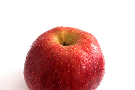 白色上孤立的红色苹果饮食水滴水果养分小吃食物宏观图片