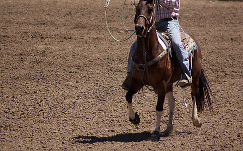 牛仔骑马场地牧场主牧场荒野马术骑士国家日落农场跑步图片