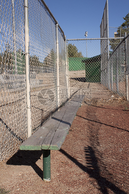 空垒球台杯子装修木地板看台天花板体育场财产观众沥青长椅图片