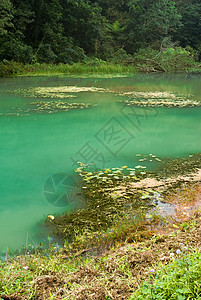 湖太阳森林池塘环境场地风景日落辉光国家场景图片