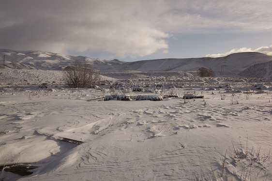 清晨寒雪平原     农村下雪户外场景f场地太阳草地冷冻天空地平线射线阳光季节草原图片