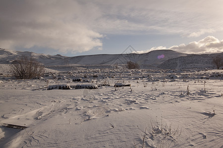 清晨寒雪平原     农村下雪户外场景f太阳火花草原阳光场地草地季节天空地平线大雪图片