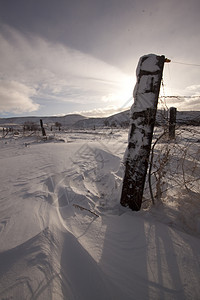 清晨寒雪平原     农村下雪户外场景f季节草原草地太阳日落墙纸大雪天空地平线冷冻图片