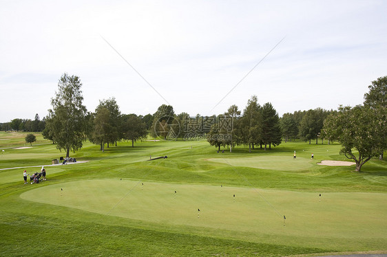 高尔夫球场果岭风景绿色园景活动场景运动高尔夫球旗帜运动场图片
