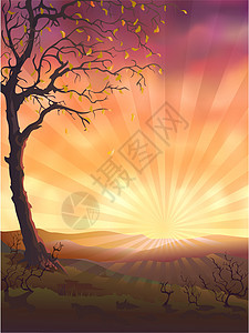 秋树树叶叶子日落场景植物群土地橙子插图阳光云景图片