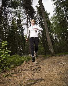 女人在树林里奔跑女性场地运动锻炼有氧运动腹肌休闲运动员木头魅力图片