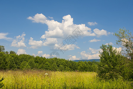 夏季风景 蓝天空 云彩图片