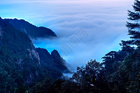 三青山的云雾     在中国江西拍电影水平松树框架图片