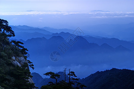 三青山的云雾     在中国江西拍电影松树框架水平图片