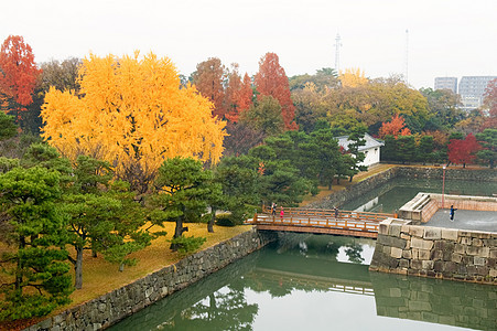 尼霍城堡的莫阿特寺庙树木黄色护城河松树古董花园全景反射橙子图片