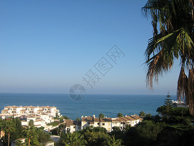 有海的风景蓝色全景旅行建筑旅游绿色棕榈白色微风图片