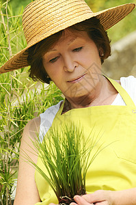 园女植物园艺女士帽子眼镜快乐韭菜退休豆芽花园图片
