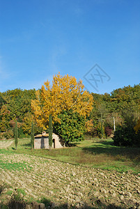 托斯卡纳农田天空场地农场旅游全景农村乡村风景蓝色山坡图片