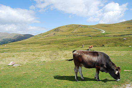 山区地貌登山蓝色高度全景镜子旅游天空森林顶峰生态图片