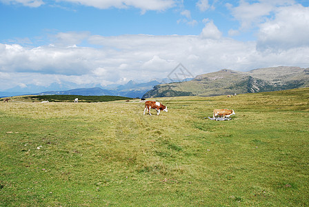 山区地貌天空全景地块晴天旅游高地镜子生态阳光森林图片