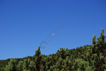 山区地貌森林风景岩石顶峰生态高地高度反射蓝色全景图片