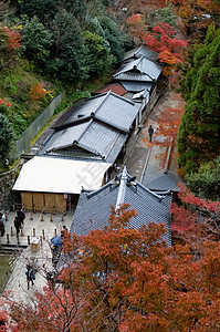 清水寺庙旅行网关地标建筑学观光房子松树宗教崇拜神社图片