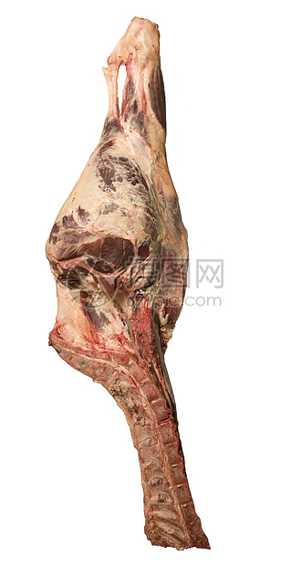 白底肉类骨头动物性动物食品食物牛肉脂肪工作室静物图片