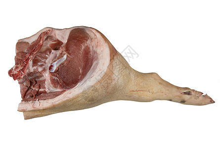 白底肉类食物脂肪骨头静物动物工作室动物性牛肉食品图片