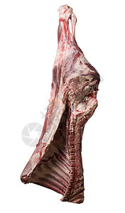 白底肉类脂肪骨头食物牛肉动物工作室食品静物动物性图片