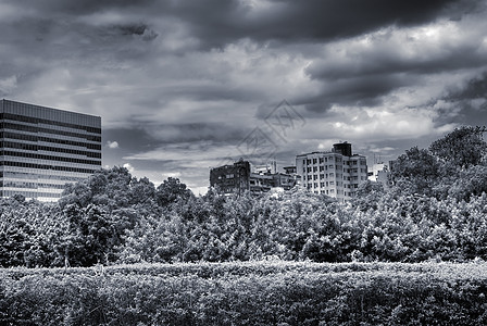 花园和云层的戏剧性城市风景图片