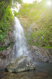 深森林中的瓦塔石头运动液体速度植物旅行流动生态岩石叶子图片