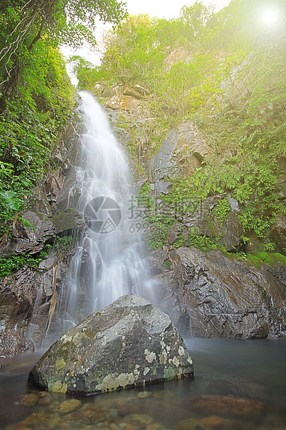 深森林中的瓦塔石头运动液体速度植物旅行流动生态岩石叶子图片