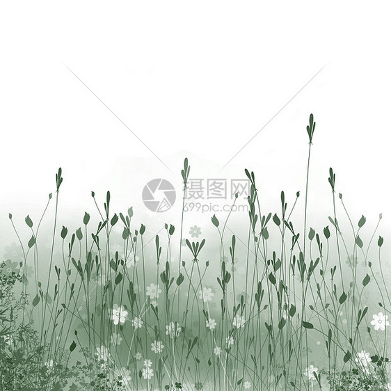 草地装饰品印迹框架空地太阳白色插图图片