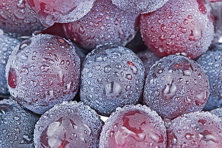 带滴子的葡萄 新鲜水果营养食物蓝色甜点饮食藤蔓市场紫色小吃浆果图片