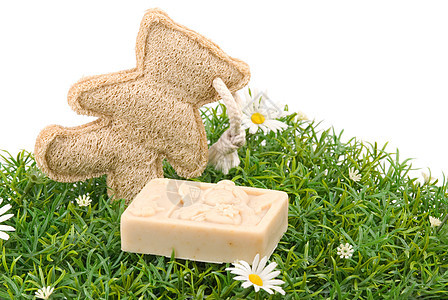 人工肥皂梳子木头卫生奢华护理药品身体治疗生活皮肤图片