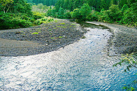 河水来自森林环境反射场景丛林荒野植物公园旅行热带石头图片