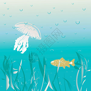 水下现场游泳海洋学生物海洋卡通片珊瑚生活海浪野生动物水族馆图片